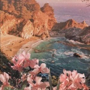 Meet your Posher, Abi